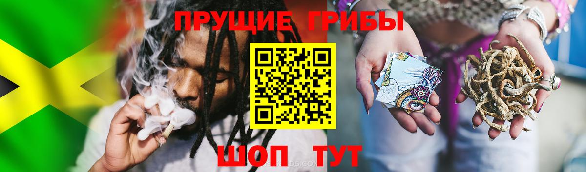 Галлюциногенные грибы Cubensis Туапсе